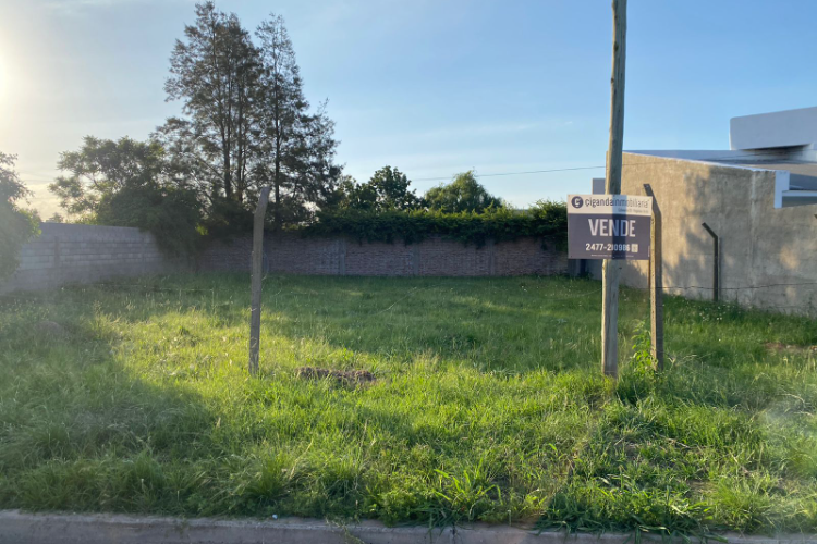 Agustin Alvarez 1600