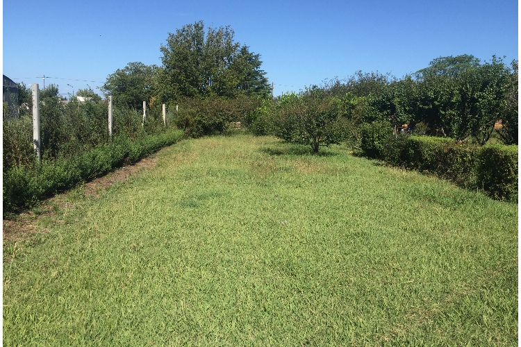 Calle 4 al 1000 | Localidad de Acevedo