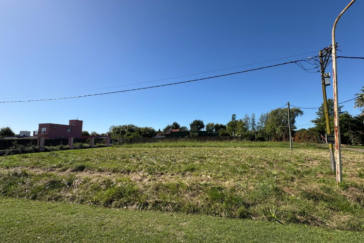 Luar Kayad, Las Marimonias y Camelias